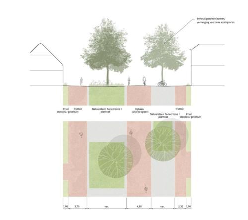 Tekening, doorsnede, inrichting openbare ruimte Noordstraat